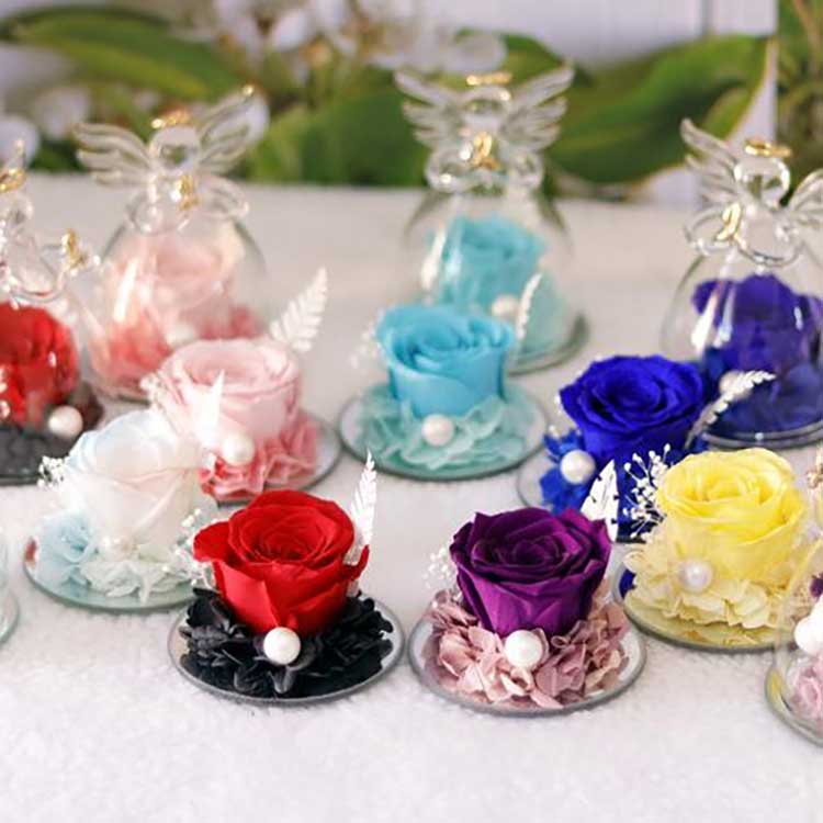 Ангелска вечна роза