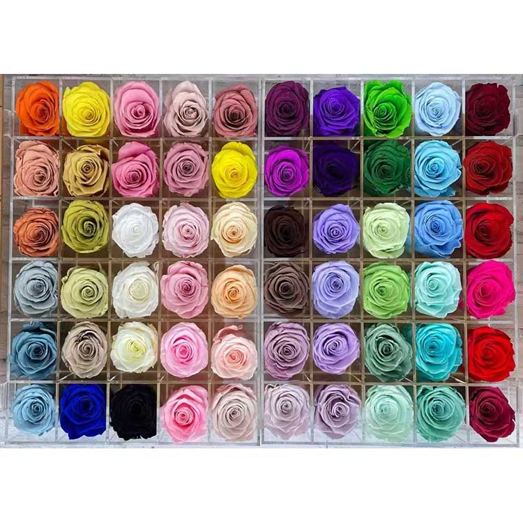 Консервирани рози